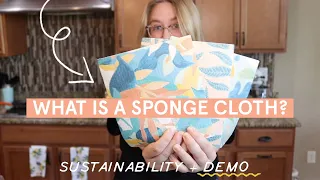 what is a sponge cloth sustainability demo 