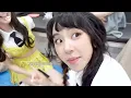 TWICE "Basics"  (Behind Ver.)