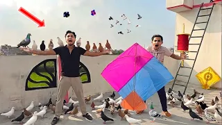 Kite Catch Village Boys With Free Lucky Kabooter Gift | Kite Caught Money Win