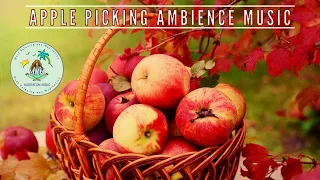 Apple Picking Ambience Music Hot Apple Cider Apples Autumn 