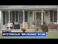 What is a brushing scam What to know and how to protect yourself
