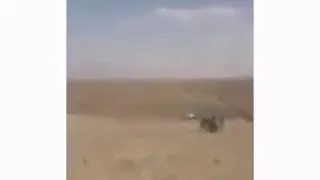 من الذاكرى في 25 7 2018 تصدي بني معروف لتنظيم داعش الإرهابي 