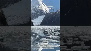 Капитан Андрей Клочков сейчас на Огненной Земле. А Марина только вернулась из Антарктики