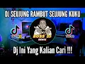 Download Lagu Dj seujung rambut seujung kuku tiktok viral 2022