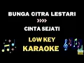 Download Lagu Bunga citra lestari - Cinta sejati - Low key Karaoke