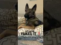 Download Lagu My mom FAKES it ❗️