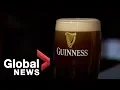How to pour the perfect pint of Guinness