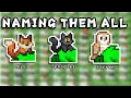 Naming EVERY Toy In Pony Town
