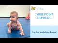Three Point Crawling Stretches to Try At Home