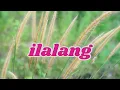 Download Lagu Ilalang | Lusyana Jelita Om Adella | Video Lirik