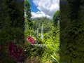 Download Lagu 📍Sekumpul Waterfall, Bali