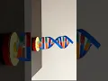 Download Lagu DNA working model with cardboard / 3D DNA Science projects / building a 3D model of DNA/ shorts