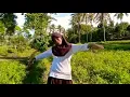 Download Lagu Praktik Lagu Kimia
