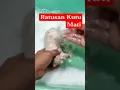 Download Lagu Ratusan kutu mati. cuma pake resep obat rumahan #shorts #kucing #grooming