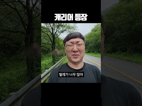 캐리어 등장