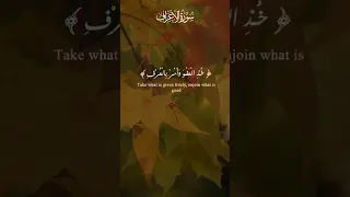 خذ العفو وأمر بالعرف واعرض عن الجاهلين عبدالباسط  خذ العفو وأمر بالعرف واعرض عن الجاهلين عبدالباسط