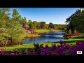 Best of Jimmy Swaggart Live 24 (2022-2024)