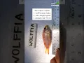 Download Lagu Ini rangkuman percobaan ikan nila setelah diberi makan Azolla, Lemna, dan Wolffia selama 2 bulan.