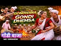 Lagu AARE DHOL | Dholyale 🎺🥁 || GONDI SONG 2026 😍 || MEGHRAJ  MESHRAM#dhemsa #adivasiculture#viral