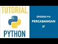 Pemrograman Python untuk Pemula - 16 If