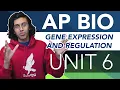 AP Biology Unit 6 Crash Course Gene Expression and Regulation
