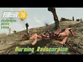 Mob Location Burning Radscorpion World of Corn 2-5 Fallout 76
