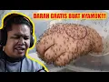 CHALLENGE DI GIGIT 1000 NYAMUK!!!