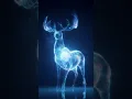 Patronus with Houdini