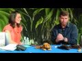 How to Discover a New Mammal Species with Dr Kris Helgen