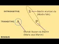 Morphosyntactic Alignment - What is Ergativity
