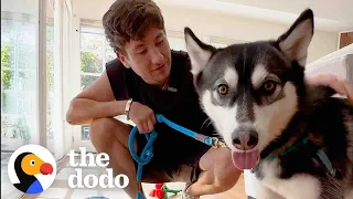 Barry Keoghan Goes On a Dodo Dream Date The Dodo