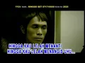 Download Lagu PETERPAN SALLY SENDIRI LIRIK KARAOKE MP4