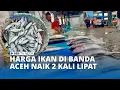 Download Lagu Cuaca Buruk, Harga Ikan di Banda Aceh Naik Dua Kali Lipat