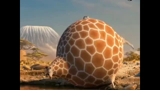 life after quarantine humans