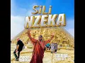 Download Lagu SIRI NZEKA BY SSALONGO LADDU ZITTA ZIKUBBA