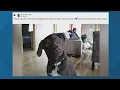 Chewy goes viral for heartwarming gesture