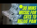 30 MINS MUSIC FOR CATS TO RELIVE PAIN 2021