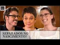 Download Lagu Fábio Porchat e Sandra Annenberg se descobrem IRMÃOS! | Alma de Cozinheira