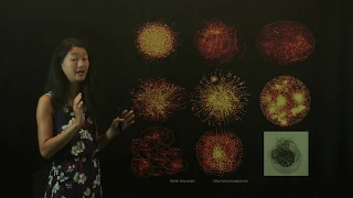 Data Visualization Buyer Beware