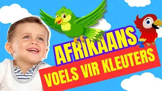 vo ls kleuters lami afrikaans