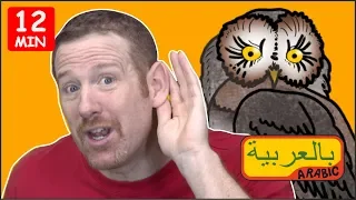 حيوانات سحرية مع ستيف وماجي لغة عربية للأطفال ستيف وماجي اللغة العربية 