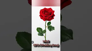 Mile - OPO (Wedding Song)
