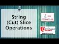 Section 2 Level 2 String Operations Lecture 19 String Cut Slice Operations
