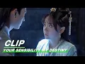 Lagu Clip: Ji Dinglan Is Dead? | Your Sensibility My Destiny EP23 | 公子倾城 | iQiyi
