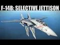 F-14B Tomcat Selective Jettison Tutorial DCS WORLD
