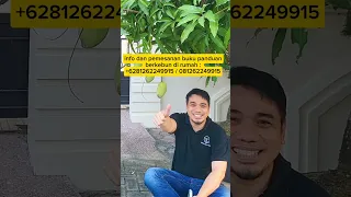 Panduan menanam tanaman buah, bunga dan sayur dalam pot agar subur dan berbuah lebat.!!