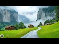 Download Lagu Самая красивая мелодия на свете! Лечебная музыка для сердца и сосудов! До слез красивая мелодия