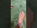 Download Lagu Water jiggly Slime DIY ASMR 🌊🔊