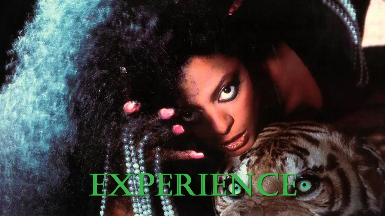 Experience - Diana Ross - Lyrics/แปลไทย