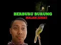 Download Lagu BERBURU BURUNG MALAM JUMAT BERTEMU TEMAN YANG TAK DI UNDANG